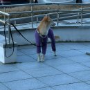 CU전북대병원점 | 아츄🥶💕