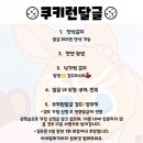 🍪쿠키런달3글3🥭 구아바~♪구아바~♬ 망고를 유혹하네~😘 딱! 걸렸네~!!😳 망고🥭와 구아바🍐 눈👀 맞은 Story~💛💚 이미지