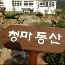 동산1교 - 양양군 | 동산1교