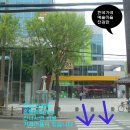 10월3일 목요일 김현정 체칠리아의 스크린 오페라 이미지