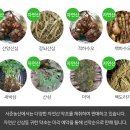 서준농산