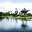 중산간서로 이미지