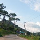 도당1리 이미지