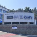 여수 유니코풀빌라펜션 이미지