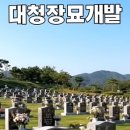 대청장묘