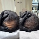 이즈메이 부산본점 | 부산어버이날, 잃어버린 풍성함을 선물해보세요!