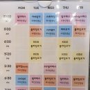 반원태권도장 | 세종 필라테스] #미요가 필라테스 소도구 필라테스 후기
