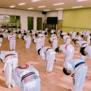 라이온태권도장 | [전북] 라이온태권도 후기 – 아이들이 달라졌어요! 🥋
