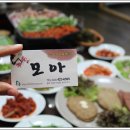 단양모아 이미지
