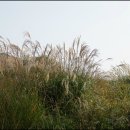 화서공원 이미지
