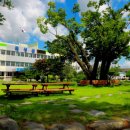 곡성군청 민원실 이미지