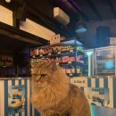 파니 게스트하우스 이미지