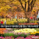 [대구단풍명소/가을여행] &#39;대구수목원&#39; :: 은행나무, 단풍, 국화 가득한 가을이 익어가고 있어요(2022...