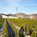 동트는농원 이미지