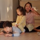젠틀리조트 | 제주도 한경면 숙소추천 젠틀리조트 최신식 가성비갑