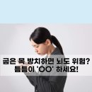 바디짐 이미지