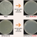 에코퓨리 이미지