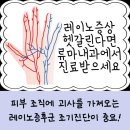 류마앤장내과의원 이미지