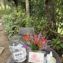 남면로-1 | 남해 섬이정원 여행코스 솔직후기