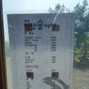 인삼송어장 이미지