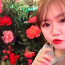 굽네치킨 문성점 | 말레이시아 코타키 나발루 2일차/마누칸 섬/마누칸 호핑투어/파라세일링/액티비티