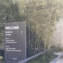 [완주] 아원 :: 전주근교 소양동 분위기 좋은 한옥 갤러리 카페 내돈내산 방문 후기
