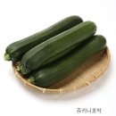 프리터스 이미지