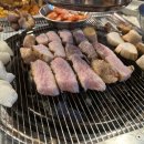 그도야지 이미지