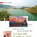 천도국제 이미지
