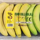 바나나PC방 이미지