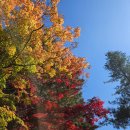 서원택시(주) 이미지