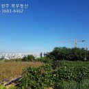 연화공인중개사사무소 이미지