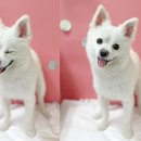 쌍용사거리 이미지