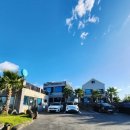 제주 서귀포 벨루아 이미지