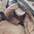 경희청강한의원 이미지