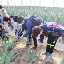 한림농장 이미지