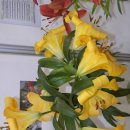 부부요양병원 이미지