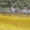 구월우체국 이미지