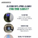 보성 스크린 골프 이미지