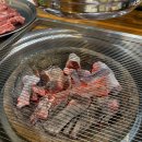 최강자갈비살 | 수원 가성비 소갈비살 맛집 '최강자숯불갈비살' 후기