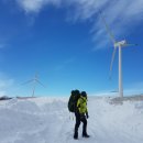 대공목장 이미지