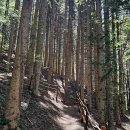 순직산업전사위령탑 | 2025.07.27.(일) 운탄고도 7길 태백 순직산업전사위령탑-삼척 도계역