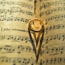 더선 행정사사무소 이미지