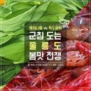 독도새우 vs 명이..군침 도는 울릉도 봄맛 전쟁 이미지