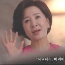 엔젤호두파이