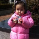 왈가닥제인 네이버블로그