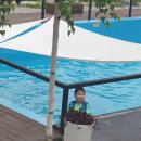반려견과, 아이를 위한 수영장과, 우리를위한 간단한 낚시까지 충주 큰집 글램핑 이미지