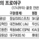 하니움 보조구장 이미지