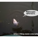 백용낚시터 이미지