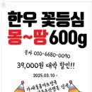 배곧정육점